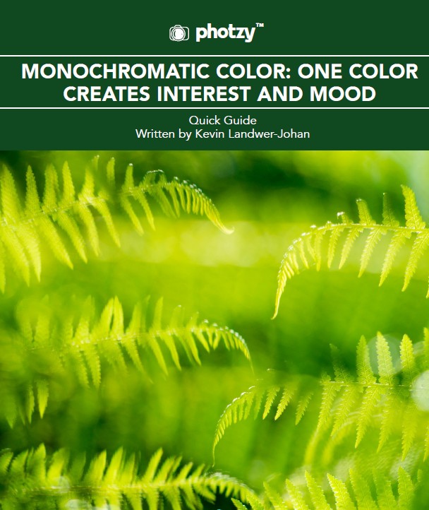 MONOCHROMATIC COLOR: ONE COLOR CREATES INTEREST AND MOOD