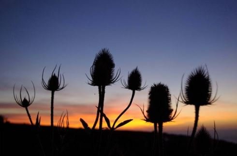 Low light photography